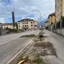 Viale Fantuzzi, in corso il progetto di riqualificazione