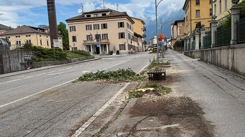 Viale Fantuzzi, in corso il progetto di riqualificazione