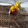 Si aggrava il bilancio delle morti sul lavoro in Veneto