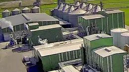 L'Oleificio San Giorgio è controllato dal gruppo veneto Crich