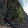 La cengia del Lavinores nelle Dolomiti d'Ampezzo