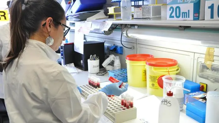 Laboratorio per la valutazione della compatibilità del midollo