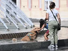 Agosto 2026 ha registrato 18 notti tropicali