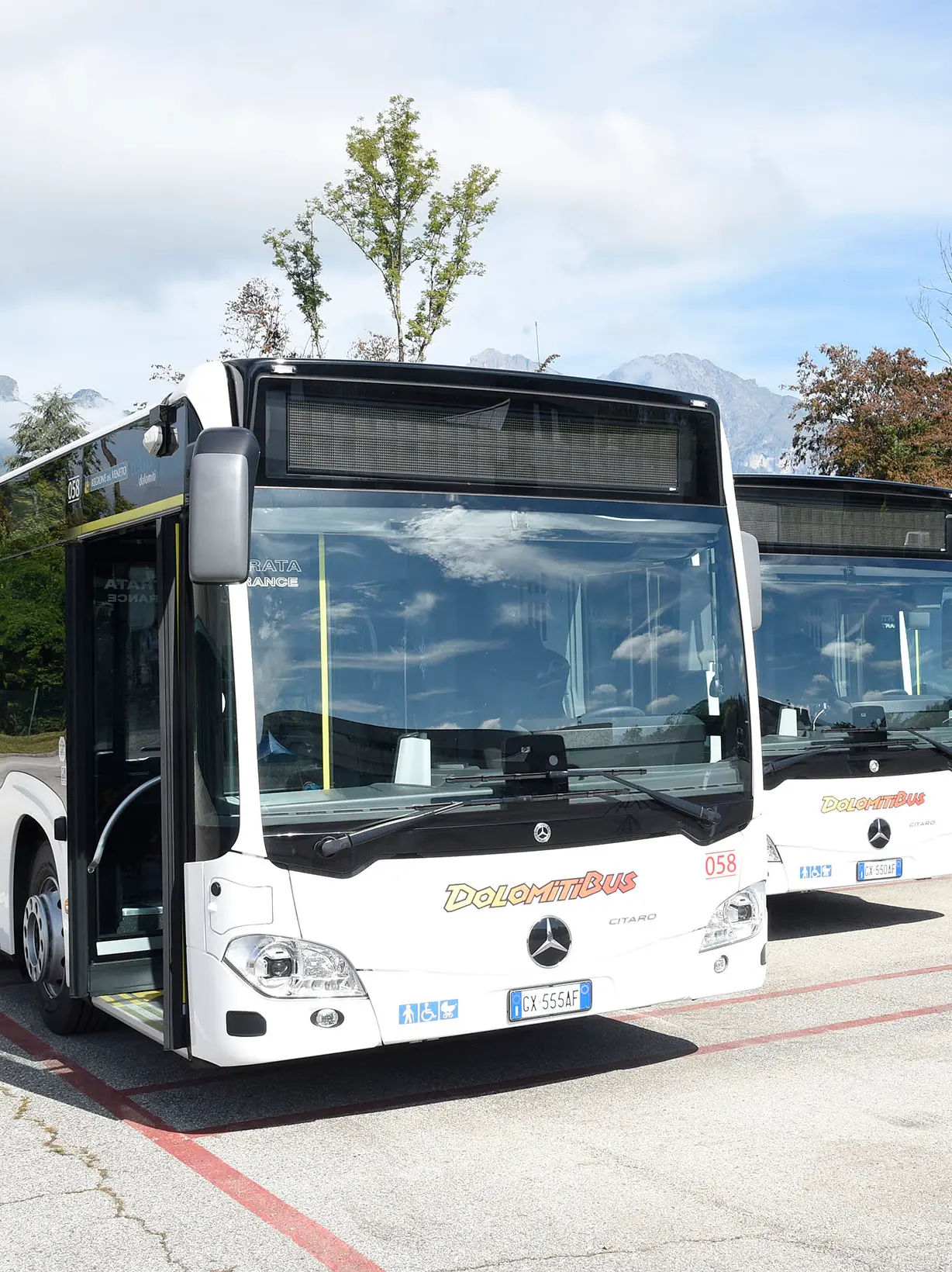 Dolomitibus, ventuno pagine di criticità: «Il servizio va migliorato»