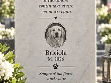 Dormire insieme per sempre: in Veneto si pensa alla tomba condivisa con gli animali