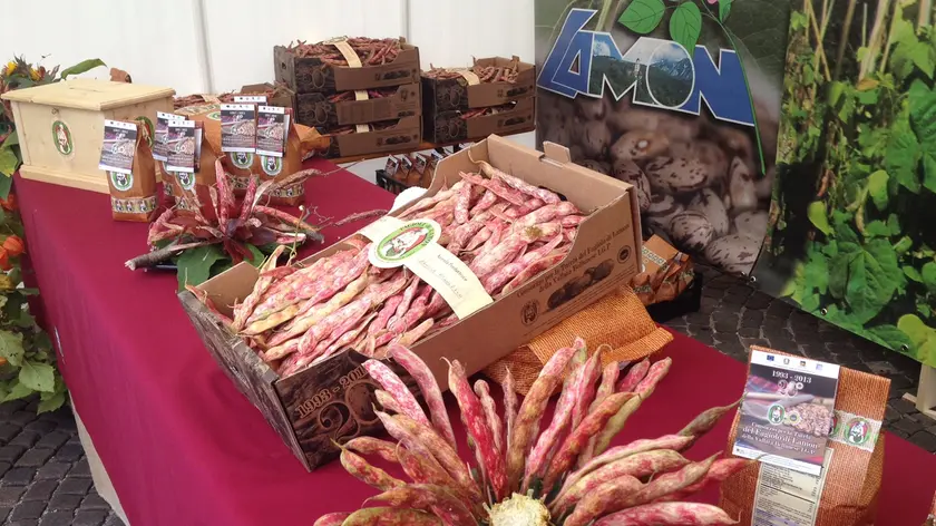Uno stand della Festa del fagiolo di Lamon della scorsa edizione