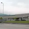 Lo stabilimento Fedon