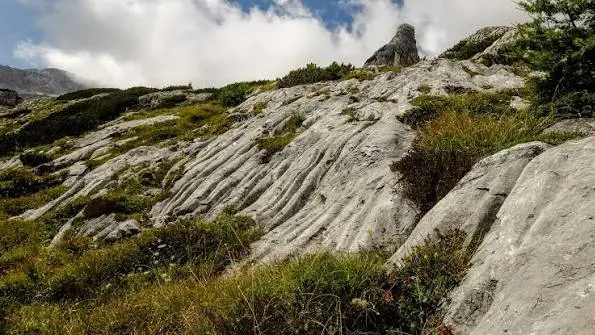 La zona di Tromba del Miel, sopra Taibon Agordino