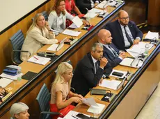 Il Consiglio regionale veneto