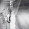Uno dei due ladri in azione venerdì sera mentre guarda all'interno della villetta dei Bassani attraverso una finestra protetta da una inferriata