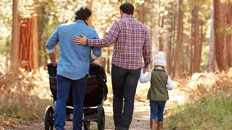 Una coppia gay trevigiana ha chiesto di poter procedere con un'adozione internazionale