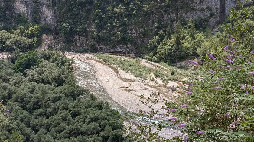 Un tratto del torrente Vanoi in territorio trentino