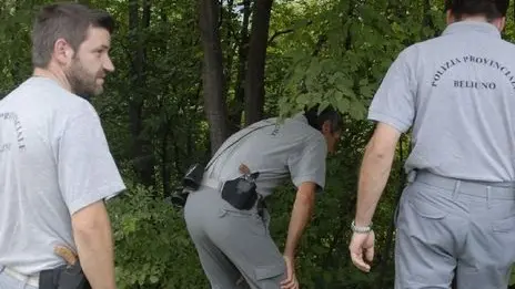 Soverzene, 18 agosto 2006, Guardie Forestali e polizia provinciale impegnate nella ricerca di una presunta pantera neraGli agenti della Polizia provinciale di Belluno a Soverzene ieri mentre cercano tracce della pantera segnalata nei giorni scorsi in paese da due persone