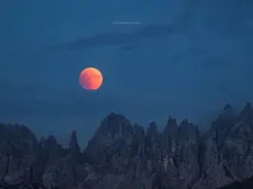 L'eclissi fotografata da Alessandra Masi