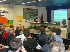 Il convegno di Apidolomiti