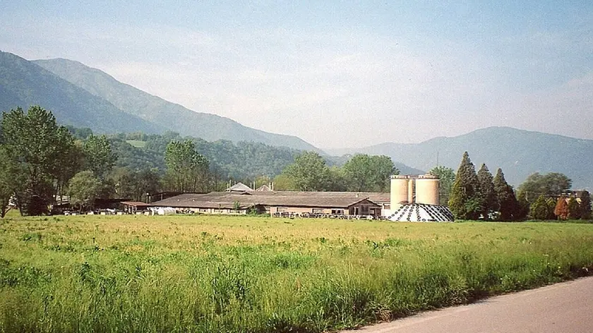 L’azienda agricola della famiglia Slongo potrebbe ingrandirsi se nel Piano di sviluppo rurale saranno trovati i fondi per finanziare l’ambizioso progetto
