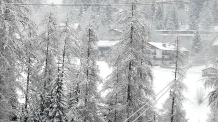 20080112 - CORTINA D'AMPEZZO - SPO - MALTEMPO NEL NORD, ANNULLATA PER NEVE COPPA DEL MONDO BOB MASCHILE - La curva Cristallo della pista olimpica di bob Eugenio Monti imbiancata, stamane 12 gennaio 2008, a Cortina D'Ampezzo. La gara di bob a due maschile è stata annullata per la scarsa visibilita causata dall'abbondante nevicata in corso da stamane nella valle ampezzana. .. © Andrea MEROLA / ANSA / KLDLa neve alta nella zona di Ronco