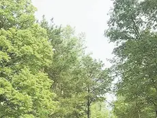 Il “percorso delle risorgive” riaperto al transito