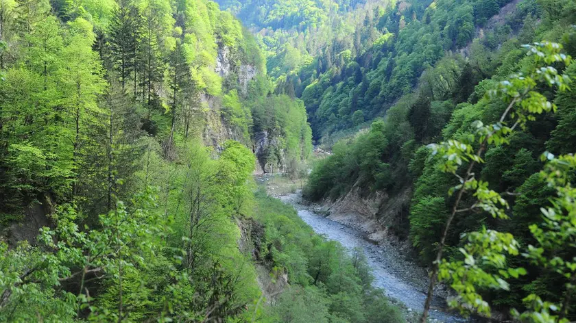 Il torrente Vanoi interessato dal progetto per la realizzazione di una diga