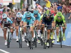 Italian rider Vincenzo Nibali of team Astana (C-L) and spanish rider Alejandro Valverde of Movistar (C-R) team cross the finish line of the 13th stage of the Giro d'Italia 2016, Palmanova to Cividale del Friuli 170 km, Italy, 20 May 2016 ANSA/LUCA ZENNARO