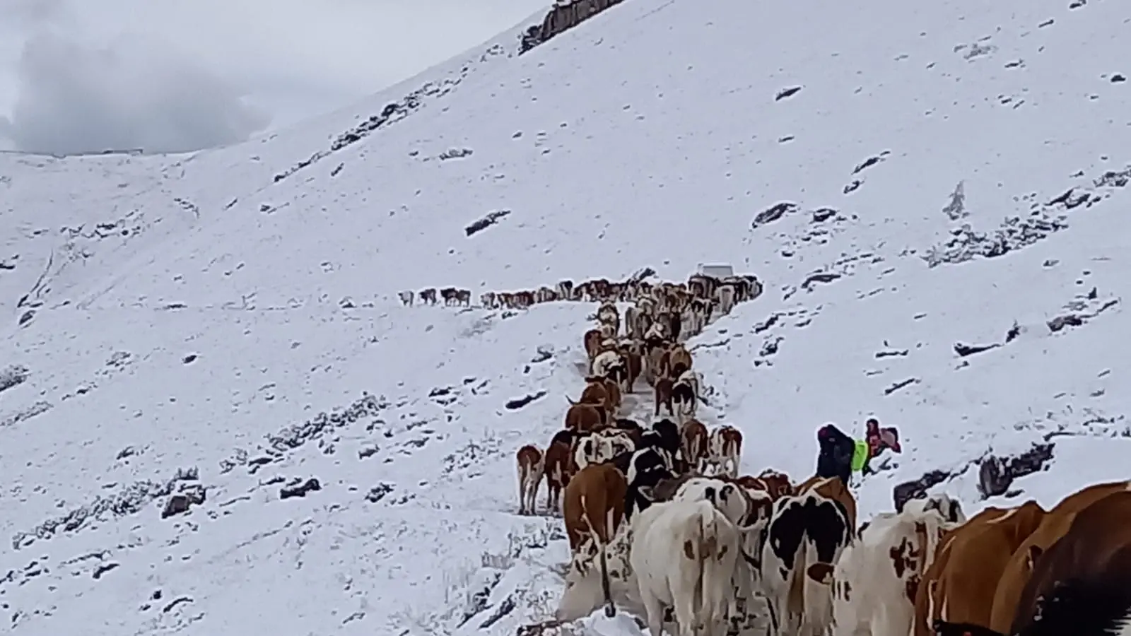 Crollo delle temperature e cime imbiancate nella notte tra venerdì e sabato 17 settembre. Le immagini dai rifugi, dal Sellaronda bike day, dal Cai e dagli appassionati