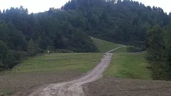 Una strada silvo-pastorale
