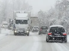 La sp 1 della Sinistra Piave durante una nevicata