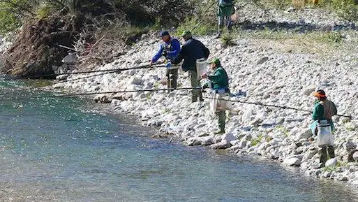 Pescatori lungo il Piave: sono 6mila i pescasportivi in provincia di Belluno