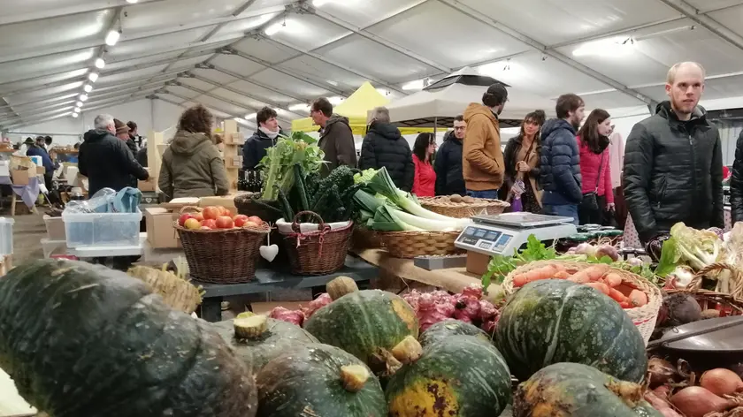 Un evento organizzato da Coltivare Condividendo