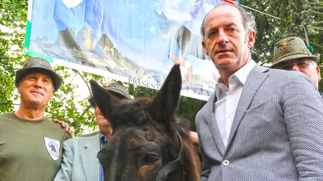 MARSON AG.FOTOFILM TREVISO ADUNATA ALPINI, IL MULO IROSO E LUCA ZAIA