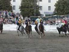 gian paolo perona-perona- feltre- palio