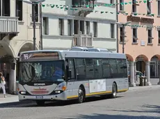 GLI AUTOBUS DELLA DOLOMITIBUS A BELLUNO