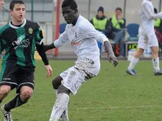 Belluno Pordenone 1-2
