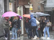 Agostini Treviso maltempo pioggia in città