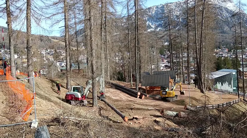 Le operazioni di taglio degli alberi a Ronco per i lavori di realizzazione della pista da bob in vista delle Olimpiadi 2026