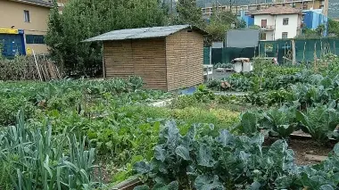 Un capanno in giardino Sono tanti i casi abusivi censiti dal comune di Pedavena