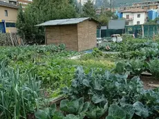 Un capanno in giardino Sono tanti i casi abusivi censiti dal comune di Pedavena