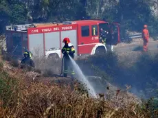 Un intervento per lo spegnimento di un incendio di sterpaglie