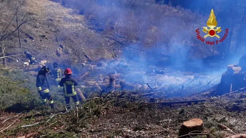 Vigili del fuoco al lavoro in un bosco per un incendio