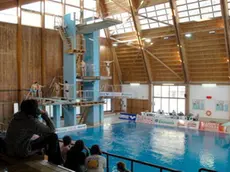 belluno, 11 febbraio 2006. alla piscina di lambioi la gara di tuffi