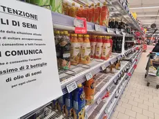 mega olio di semi