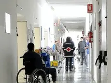 Una corsia dell’ospedale di Belluno