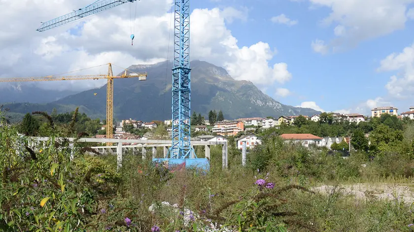 gian paolo perona- perona- belluno- ex area bardin