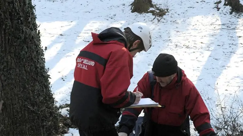 I rilievi per un incidente sul lavoro nell’ambito di un cantiere forestale in provincia
