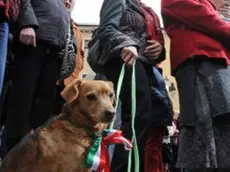 I festeggiamenti dei 150 anni dall'unità d'Italia