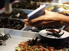 epa03831312 (14/15) A Thai vendor shows fried insects prices to tourists with a calculator at Khao Sarn road, a spot tourist area in Bangkok, Thailand, 20 July 2013. Insects have long been on the menu in Thailand, but academics and the United Nation's Food and Agriculture Organization (FAO) officials are hoping they will become a more common global source of protein and nutrients to meet the need for growing world food requirements in the future. EPA/NARONG SANGNAK PLEASE REFER TO ADVISORY NOTICE (epa03831298) FOR FULL FEATURE TEXT