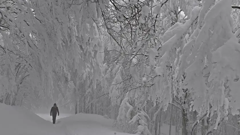 Un'immagine della neve sull'Appenino Tosco-Romagnolo, 24 febbraio 2018. ANSA/MAURIZIO DEGL'INNOCENTI