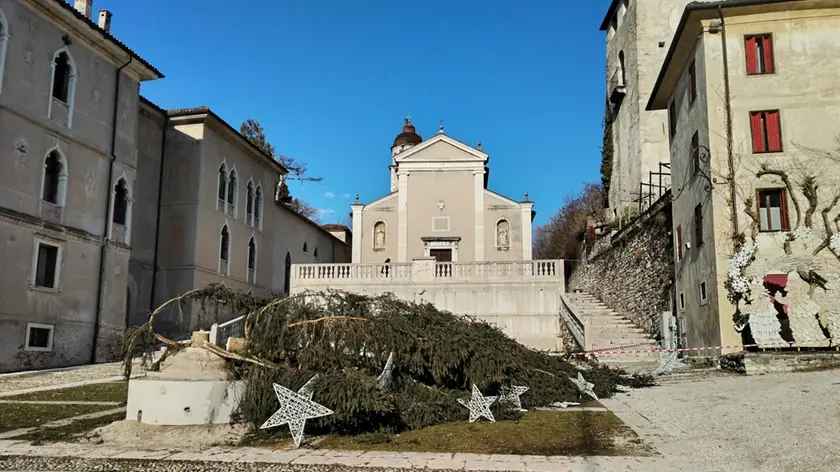 L'albero di natale abbattuto nella notte a Feltre