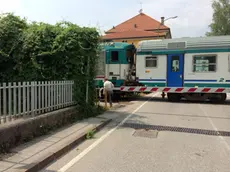 Treno per Belluno