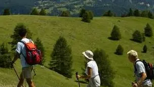 Escursionisti in montagna Escursionisti estivi in montagna